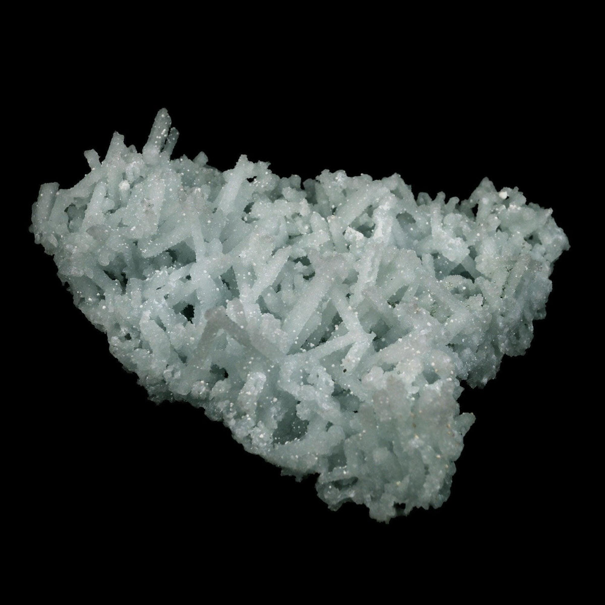 Prehnite Rare Find Natural Mineral Specimen # B 4757  https://www.superbminerals.us/products/prehnite-rare-find-natural-mineral-specimen-b-4757  Features: A coveted jackstraw cluster of elongated laumontite crystals that pseudomorphed from mint-green