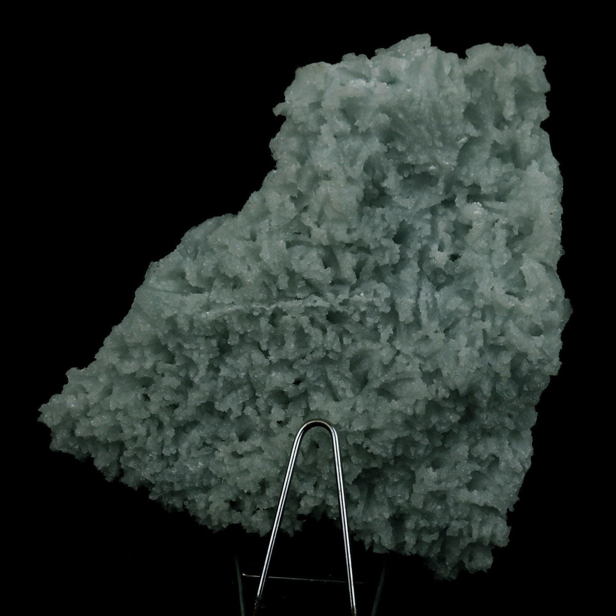 Prehnite Rare Find Natural Mineral Specimen # B 4757  https://www.superbminerals.us/products/prehnite-rare-find-natural-mineral-specimen-b-4757  Features: A coveted jackstraw cluster of elongated laumontite crystals that pseudomorphed from mint-green