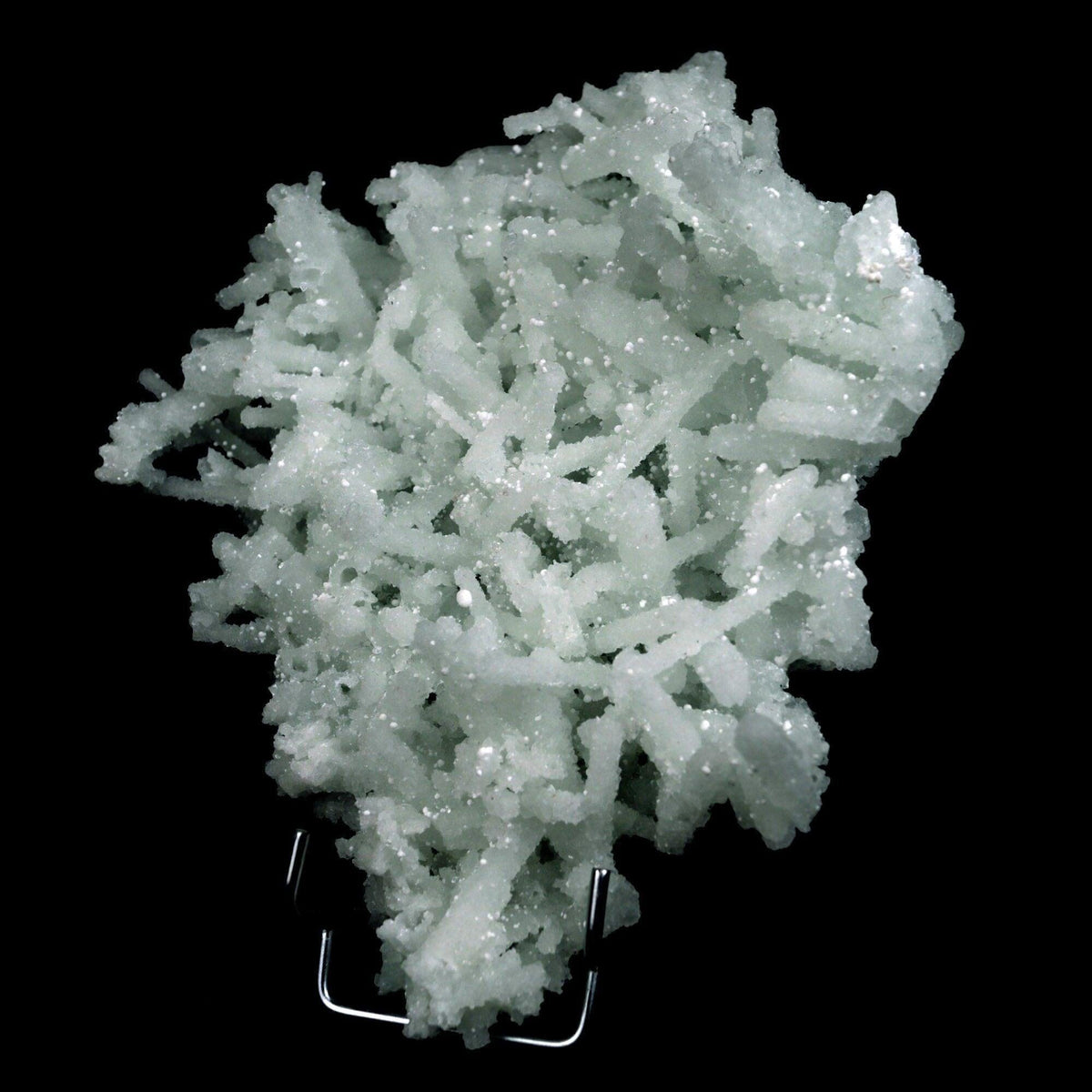 Prehnite Rare Find Natural Mineral Specimen # B 4819  https://www.superbminerals.us/products/prehnite-rare-find-natural-mineral-specimen-b-4808  Features: Precious jackstraw cluster of elongated laumontite crystals that pseudomorphed from mint-green,
