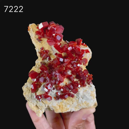 Lustrous Deep Red-Orange Vanadinite Crystals on Natural Matrix - Classic Collector Specimen from Mibladen, Morocco # B 7222