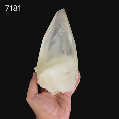Gemmy Clear Calcite Crystal | Museum Grade Collector Mineral Specimen # B 7181