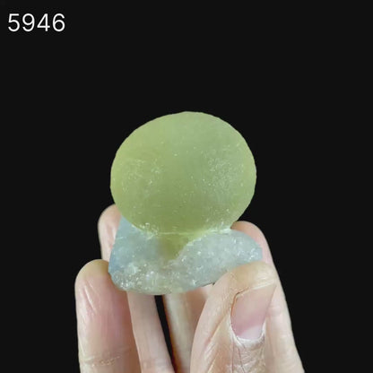 Fluorite Huge balls on MM Quartz Natural Mineral Specimen # B 5946