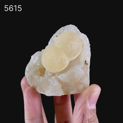 Fluorite on MM Quartz Natural Mineral Specimen # B 5615