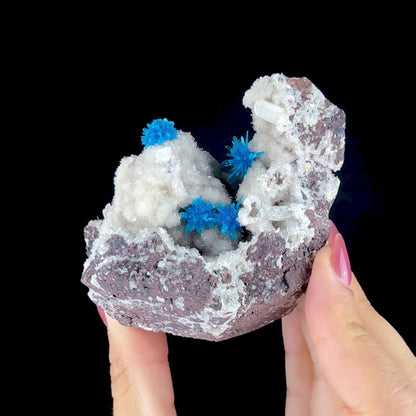 Rare Electric Blue Pentagonite Flowers on Heulandite Matrix - Natural Collector’s Specimen from Pune  # DKT152