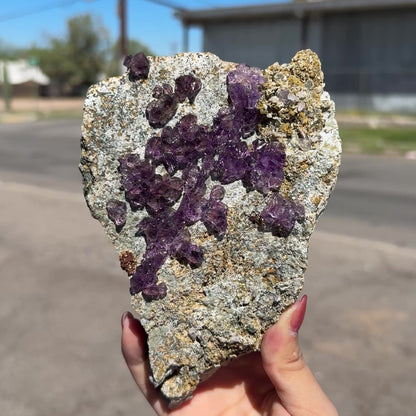 Sceptre Amethyst Cluster on Matrix – Natural Purple Crystal Specimen from Karur, India DKT121