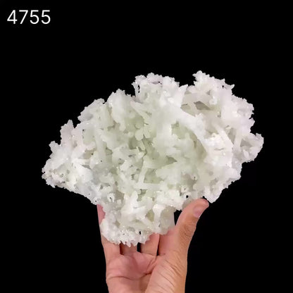 Prehnite Rare Find Natural Mineral Specimen  # B 4755