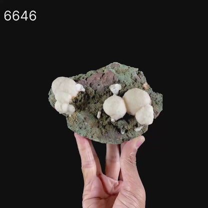 Thomsonite Rare Found in late 1990s Natural Mineral Specimen # B 6646