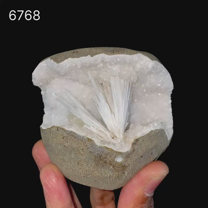 Scolecite in MM Quartz Geode Natural Mineral Specimen # B 6768