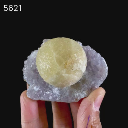 Fluorite on Amethyst Natural Mineral Specimen # B 5621