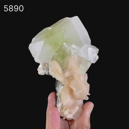 Apophyllite green cube with Stilbite Natural Mineral Specimen # B 5890