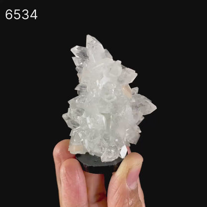 Apophyllite with Stilbite Natural Mineral Specimen # B 6534