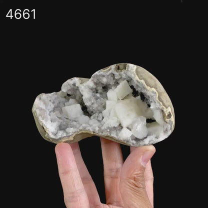 Chabazite Pesudeo Crystals inside Chalcedony Vug Natural Mineral Specimen  # B 4661