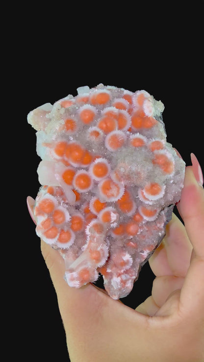 Thomsonite with Stilbite & Heulandite | SELF STANDING | High Quality Mineral | Indian Mineral | Superb Minerals | Collection