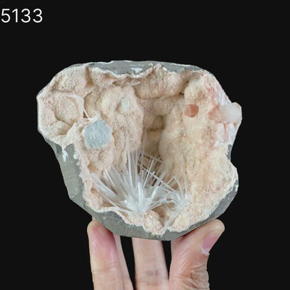 Scolecite Sprays Fan Inside Heulandite Geode Natural Mineral Specimen  # B 5133