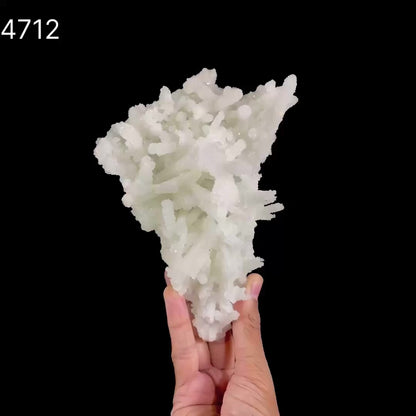 Prehnite Pseudomorphed Rare Find Natural Mineral Specimen  # B 4712