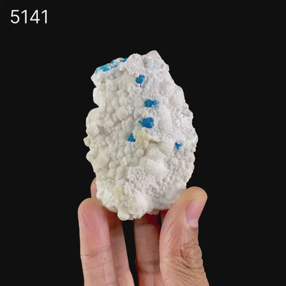 Cavansite on Mordenite Rare Find Natural Mineral Specimen  # B 5141