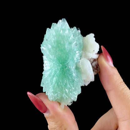 Green Apophyllite Rosette with Stilbite - Zeolite Mineral Specimen from Chhatrapati Sambhaji Nagar # DKT142