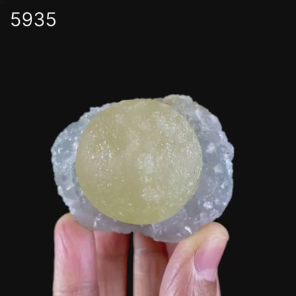 Fluorite balls on MM Quartz Natural Mineral Specimen # B 5935