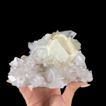 Gemmy Golden Calcite Crystal Perched on Apophyllite Tip Cluster with Stilbite - Collector’s Cabinet Specimen from Jalgaon, India # DKT170