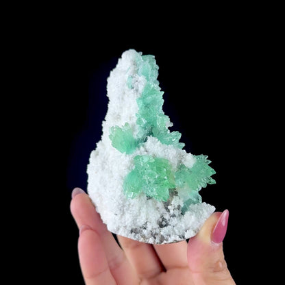 Emerald-Green Apophyllite on Chalcedony Matrix - Collector’s Indian Zeolite Specimen from Pune # DKT151