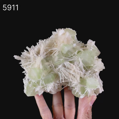 Scolecite Spray With Green Apophyllite Natural Mineral Specimen # B 5911