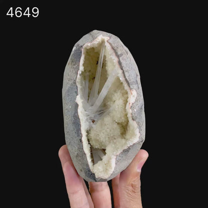 Scolecite Sprays Inside Geode Natural Mineral Specimen  # B 4649
