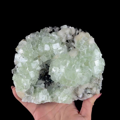 Green Apophyllite Cluster on Dark Matrix - Collector’s Zeolite Specimen from Ahilyanagar # DKT202