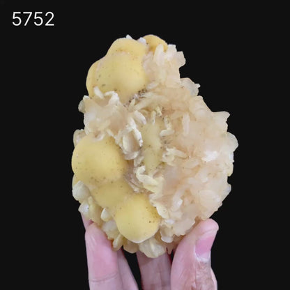 Thomsonite Rare Find with Stilbite Natural Mineral Specimen # B 5752