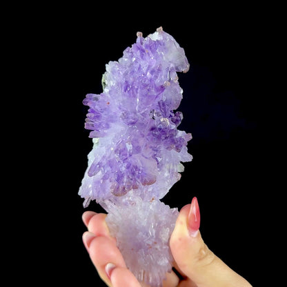 Scepter Amethyst Cluster - Collector’s Gem Specimen from Karur, Tamil Nadu, India DKT143