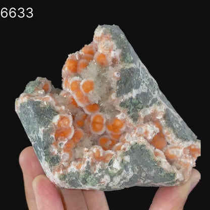 Thomsonite Orange Rare Find Natural Mineral Specimen # B 6633