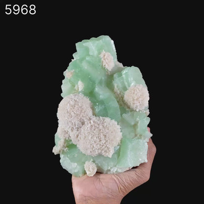 Apophyllite Green Cube with Mordenite Natural Mineral Specimen # B 5968