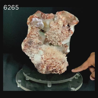 Scolecite Spray Brown color with Apophyllite cubes Natural Mineral Specimen # B 6265
