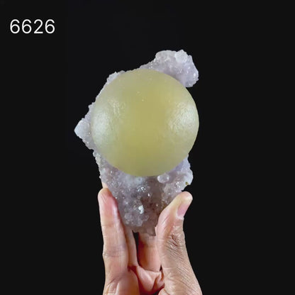 Huge Fluorite Ball on Amethyst Very Rare Natural Mineral Specimen # B 6626