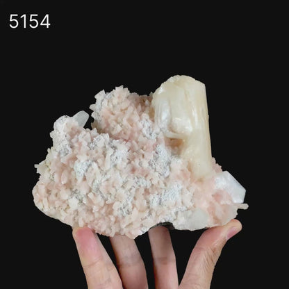 Stilbite on Heulanidte Natural Mineral Specimen  # B 5154
