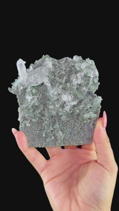 Lemurian Quartz on Sparkly Chlorite | High Quality Mineral | Indian Mineral | Superb Minerals | Collectors Piece | Fine Mineral