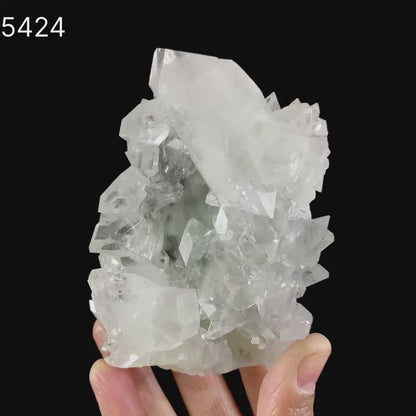 Apophylite  Natural Mineral Specimen # B 5424