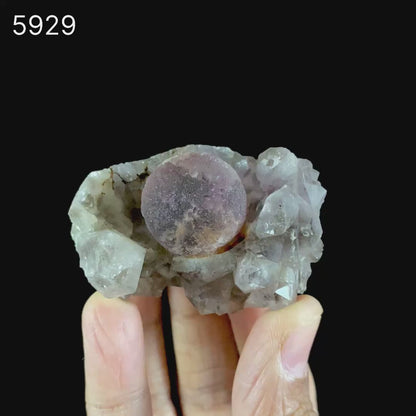 Fluorite Ball Violet Color on Amethyst Very Rare Natural Mineral Specimen # B 5929