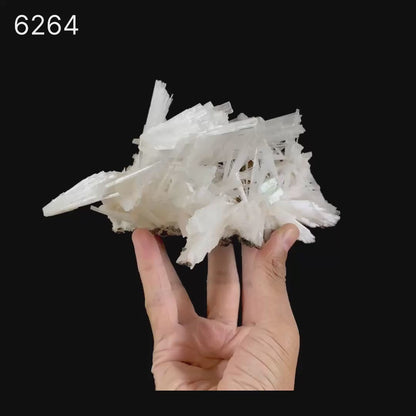 Scolecite Sprays with green Apophyllite cube Natural Mineral Specimen # B 6264