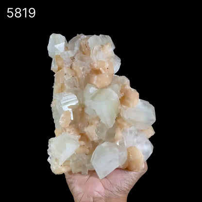 Apophyllite with Stilbite Self Standing Natural Mineral Specimen # B 5819