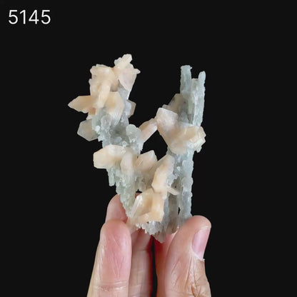 Stilbite on Chalcedony Coral Formation Natural Mineral Specimen  # B 5145