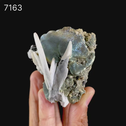 Rare Iridescent Pyrite with Calcite , Babingtonite – UV Reactive Collector Display Mineral Specimen from Mumbai # B 7163