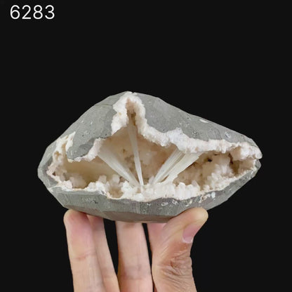 Scolecite Sprays Inside Heulandite Geode Natural Mineral Specimen # B 6283