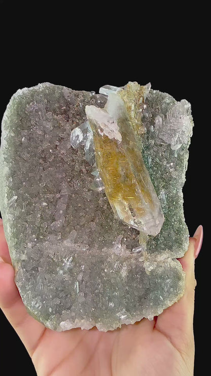 Rutile in Clear Quartz on Chlorite | SELF STANDING | High Quality Mineral | Indian Mineral | Superb Minerals | Collectors Piece