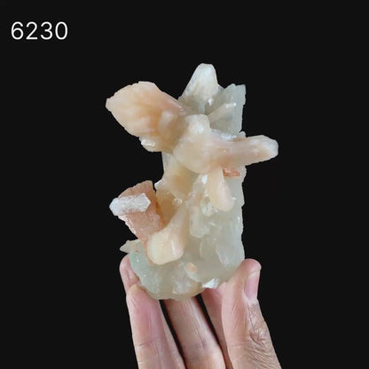 Stilbite on Calcite Natural Mineral Specimen # B 6230