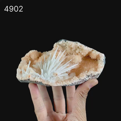 Scolecite Accular Sprays Inside Heulandite Geode Natural Mineral Specimen  # B 4902