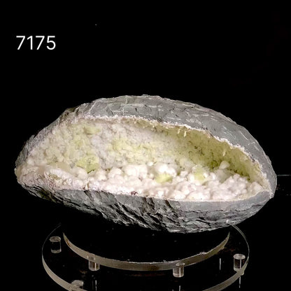 Rare Okenite Puffballs with Quartz & Chalcedony in Large Geode – Old School Mumbai, Natural Mineral Specimen# B 7175