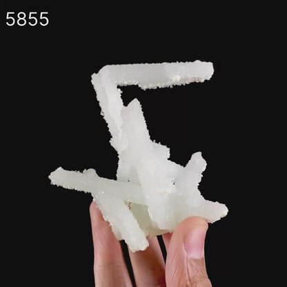 Prehnite Rare Find Natural Mineral Specimen # B 5855