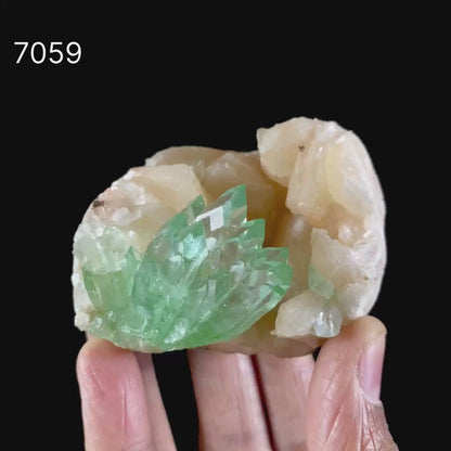 Green Apophyllite With Stilbite Natural Mineral Specimen # B 7059