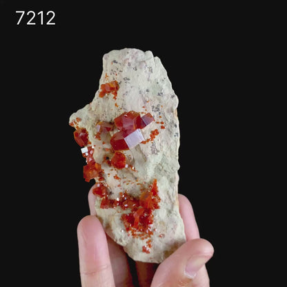 Lustrous Deep Red-Orange Vanadinite Crystals on Natural Matrix - Classic Collector Specimen from Mibladen, Morocco # B 7212