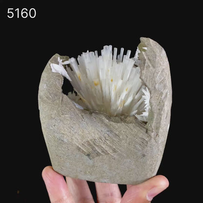Natrolite Sprays Inside Chalcedony Geode Natural Mineral Specimen  # B 5160